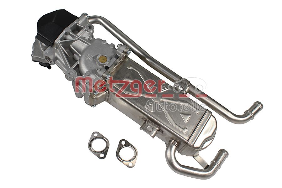 EGR Module