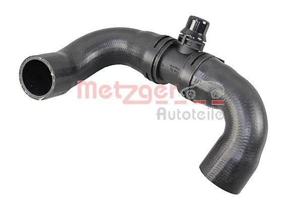 Radiator Hose (2421357)