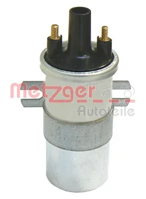 Ignition Coil (0880032)