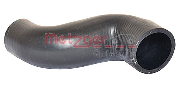 Radiator Hose (2420208)