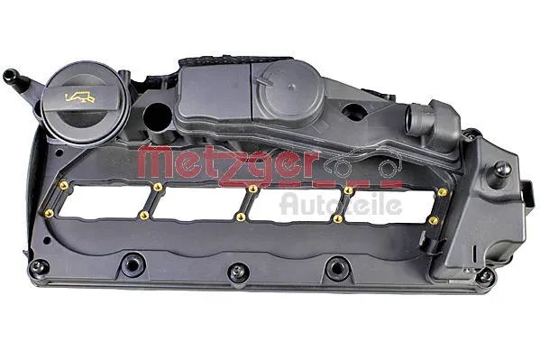 Cylinder Head Cover (2389173)