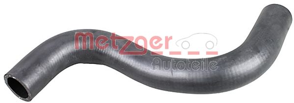 Radiator Hose (2421055)