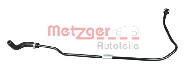 Radiator Hose (2420869)