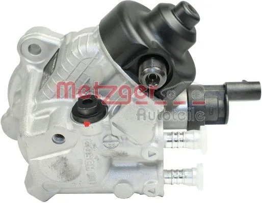 High Pressure Pump (0830021)