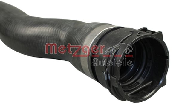 Radiator Hose (2420549)