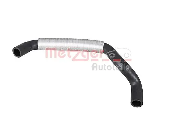 Radiator Hose (2420946)