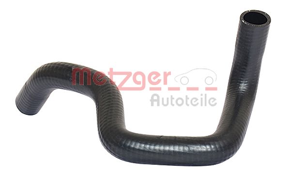 Radiator Hose (2420044)
