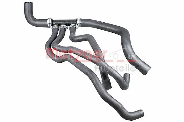 Radiator Hose (2421009)