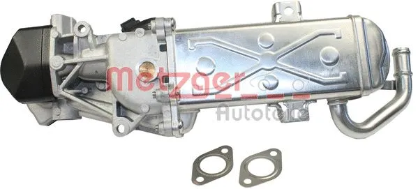 EGR Module