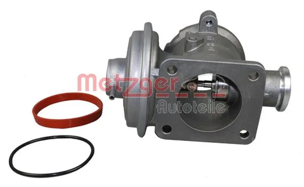 EGR Valve (0892187)