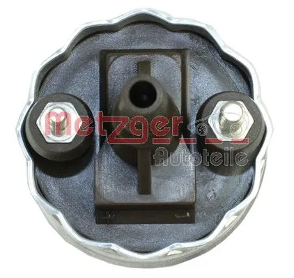 Fuel Pump (2250065)