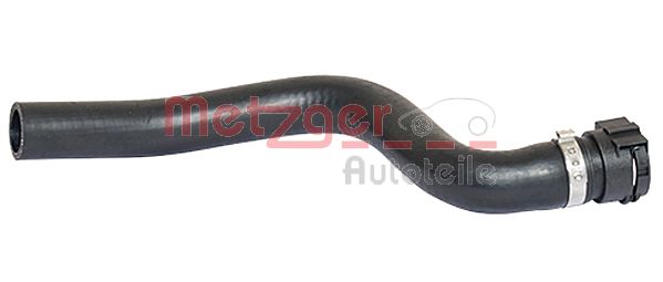 Radiator Hose (2420054)