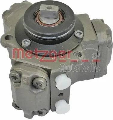 High Pressure Pump (0830007)