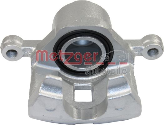 Brake Caliper (6250842)