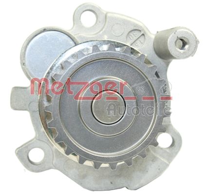 Water Pump, engine cooling (4007017)