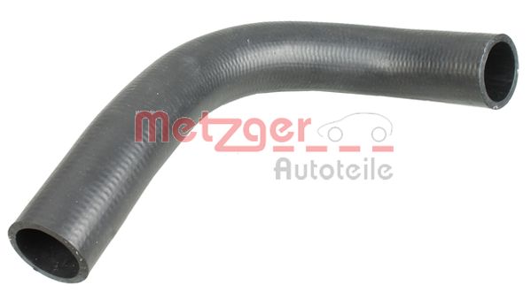 Radiator Hose (2420819)