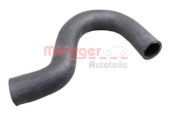 Radiator Hose (2421464)