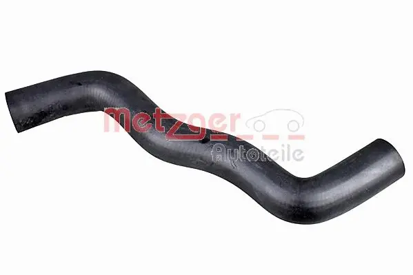 Radiator Hose (2420938)