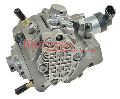 High Pressure Pump (0830061)