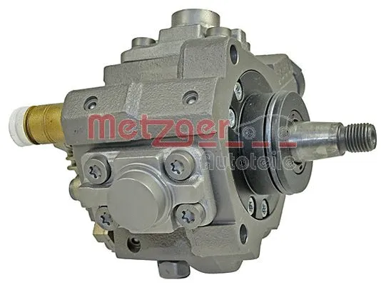 High Pressure Pump (0830067)