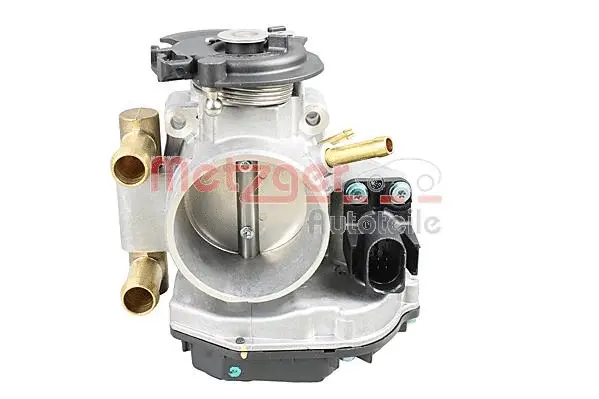 Throttle Body (0892822)