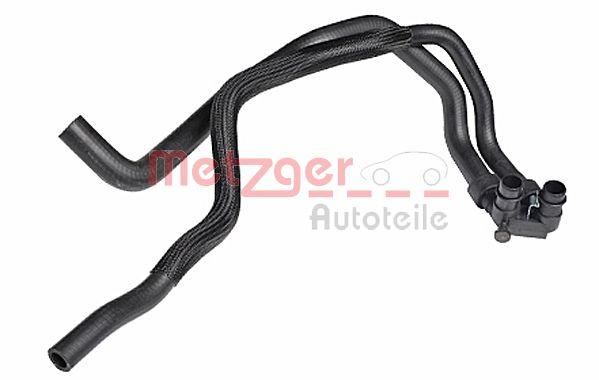 Radiator Hose