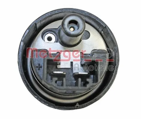 Fuel Pump (2250164)