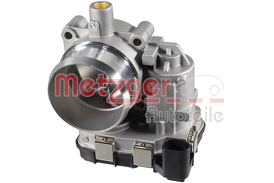 Throttle Body (08920027)
