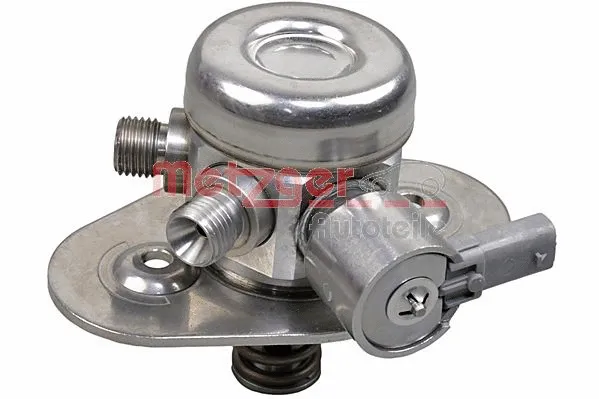 High Pressure Pump (2250496)