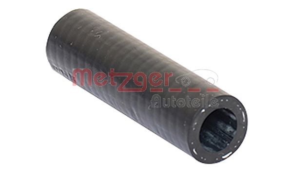Radiator Hose (2420117)