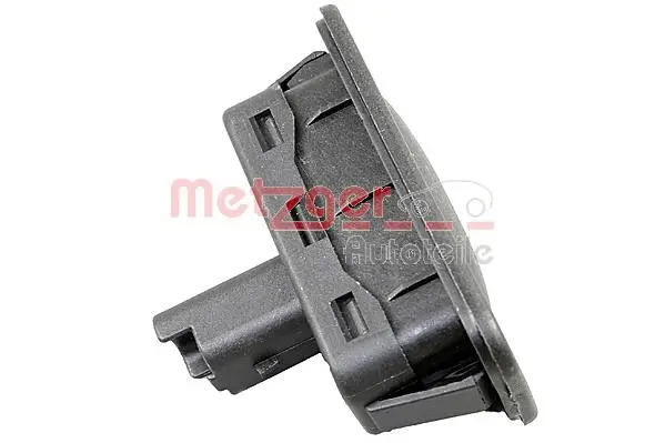 Switch, tailgate release (2310629)