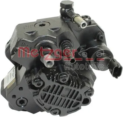 High Pressure Pump (0830016)