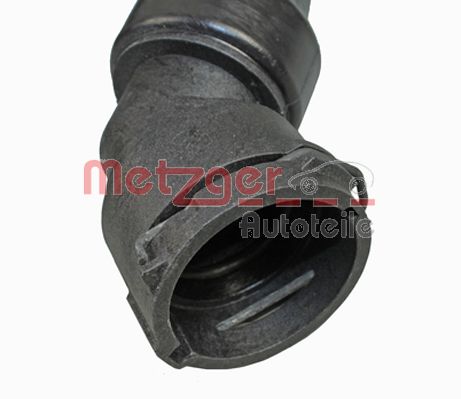 Radiator Hose (2420445)