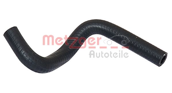 Radiator Hose (2420503)