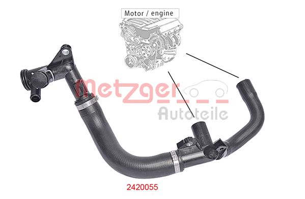 Radiator Hose (2420055)