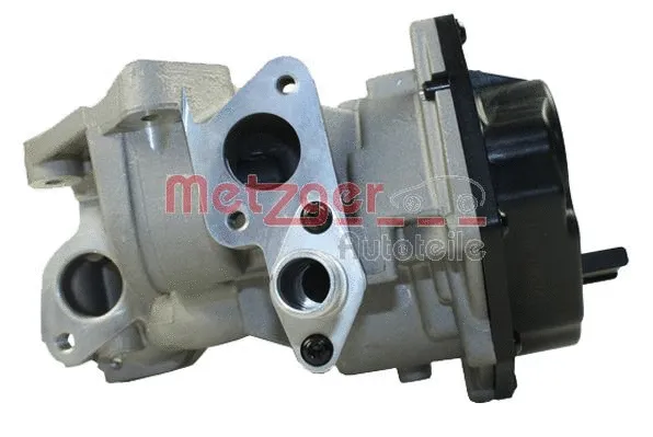 EGR Module
