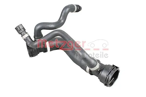 Radiator Hose (2420308)