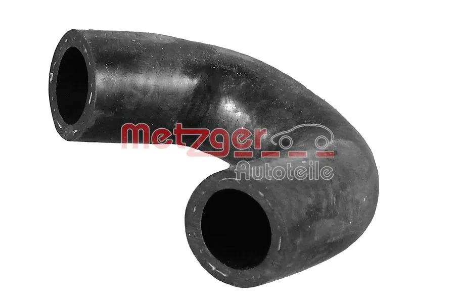Radiator Hose (2421548)