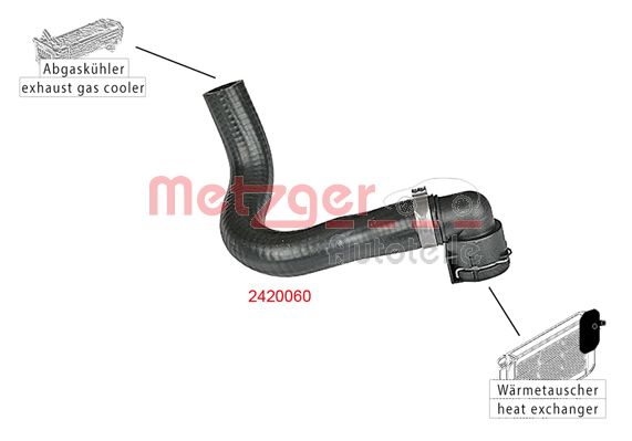 Radiator Hose (2420060)