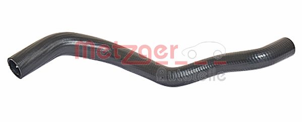 Radiator Hose (2420407)