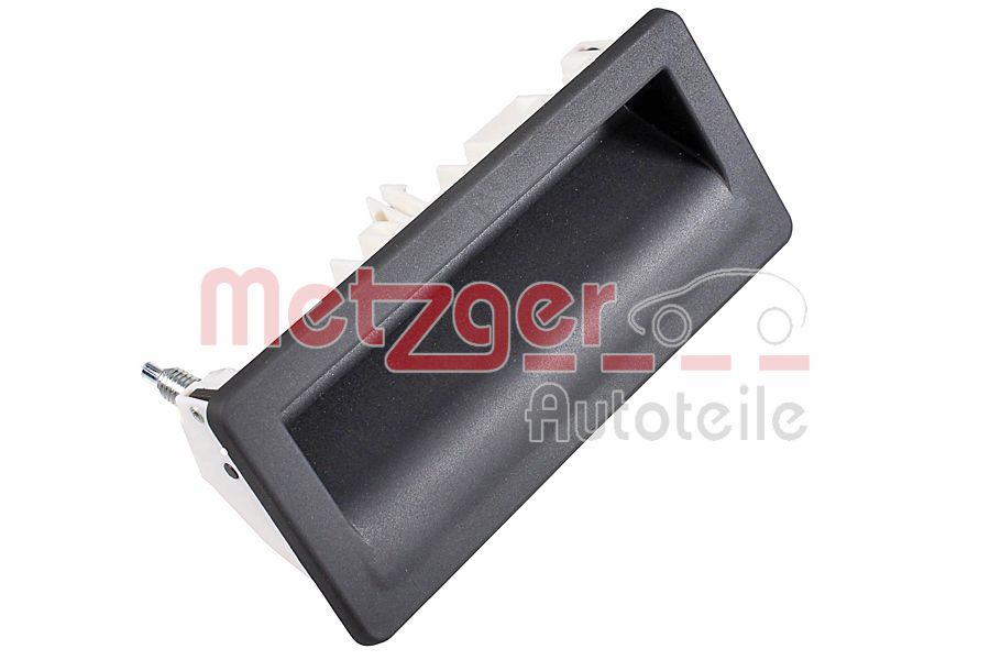 Tailgate Handle (2310858)