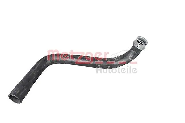 Radiator Hose (2420949)