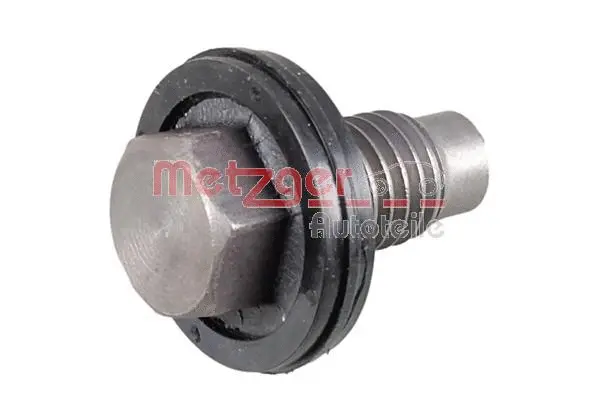 Screw Plug, oil sump (8030078)