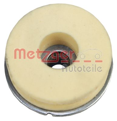 Suspension Strut Support Mount (6490025)