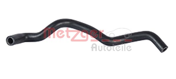 Radiator Hose (2420130)
