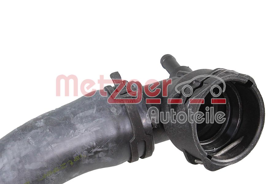 Radiator Hose