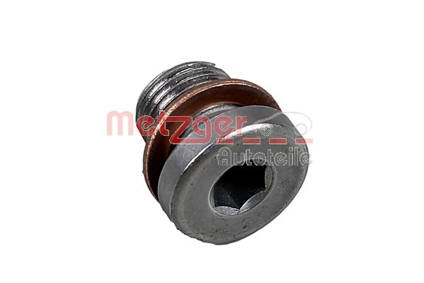 Screw Plug, oil sump (8030065)
