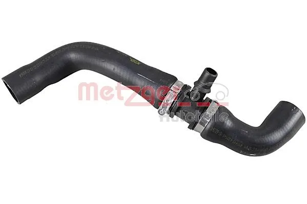 Radiator Hose (2421318)