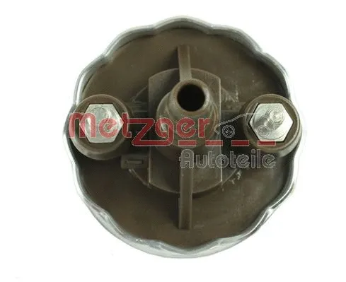 Fuel Pump (2250040)