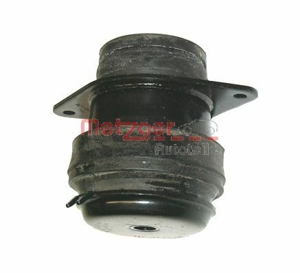 Mounting, engine (8050817)